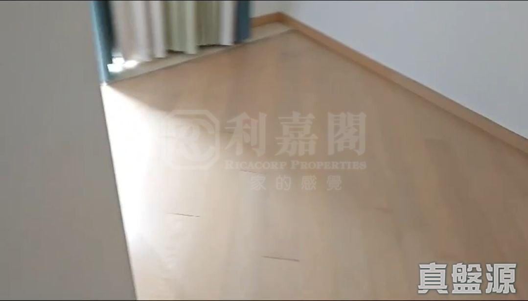 溱林 - 28NTS – 香港北部都會區