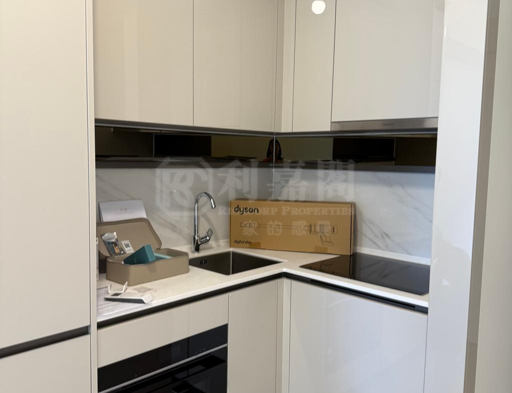 柏瓏 1A期 柏瓏 I 3座 - 28NTS – 香港北部都會區