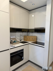 柏瓏 1A期 柏瓏 I 3座 - 28NTS – 香港北部都會區