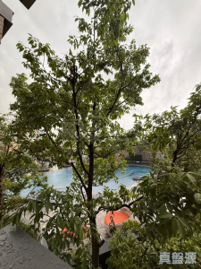 THE YOHO HUB C期 THE YOHO HUB II 6座 - 28NTS – 香港北部都會區