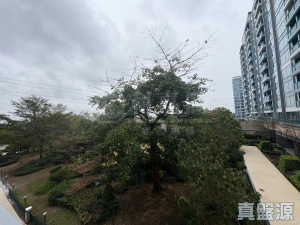 17634557869d2a437f-5426-4808-a6ba-a8416b0c601d.jpeg 峻巒 1B期 PARK YOHO VENEZIA 5A座 - 28NTS – 香港北部都會區