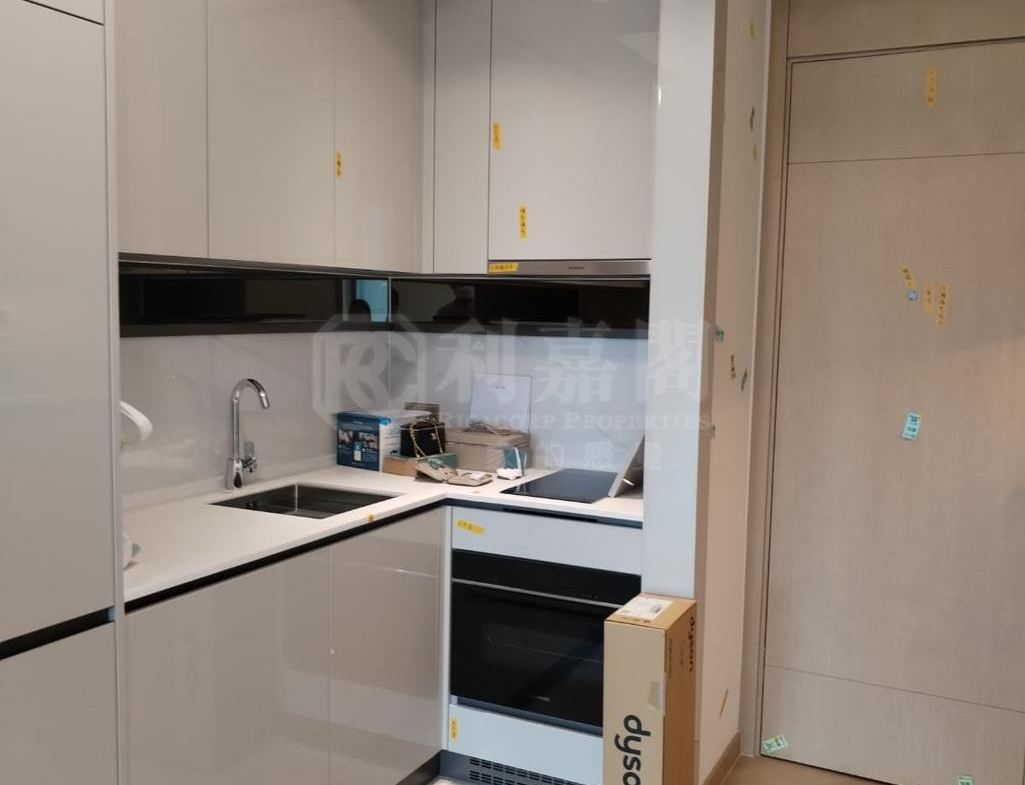 柏瓏 1A期 柏瓏 I 6座 - 28NTS – 香港北部都會區