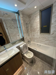 柏瓏 1A期 柏瓏 I 5座 - 28NTS – 香港北部都會區