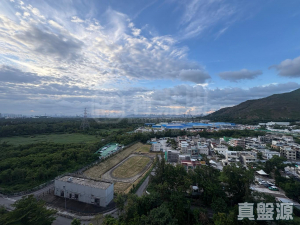 峻巒 2A期 PARK YOHO GENOVA 29座 - 28NTS – 香港北部都會區