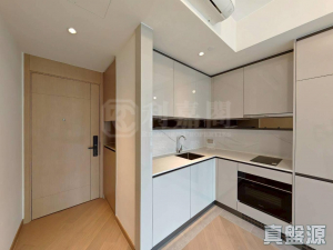 柏瓏 1A期 柏瓏 I 3座 - 28NTS – 香港北部都會區