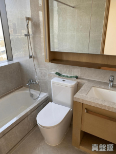 山水盈 5座 - 28NTS – 香港北部都會區