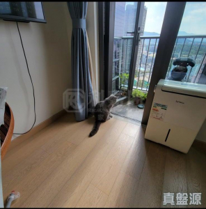 176345740695dd2813-876e-4339-872d-be99dd7a09c6.jpeg 朗城滙 3座 - 28NTS – 香港北部都會區