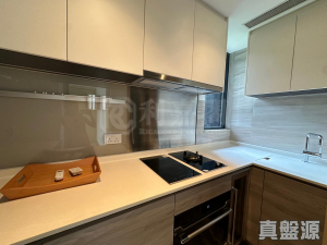 17634577101083f10a-b6d0-4d2e-9c0b-24f7d3d3a909.jpeg 明翹匯 1座 - 28NTS – 香港北部都會區