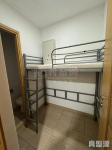 星堤 8座 - 28NTS – 香港北部都會區