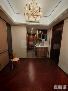 緹岸 1期 2A座 - 28NTS – 香港北部都會區