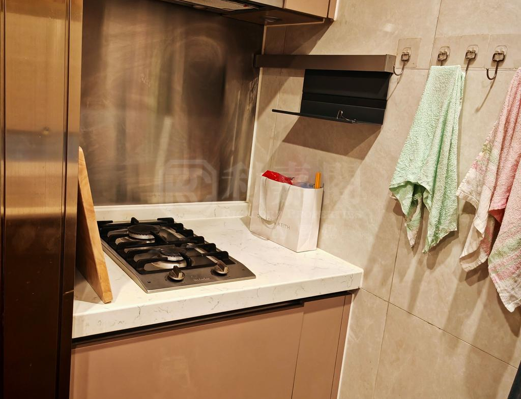 緹岸 1期 2A座 - 28NTS – 香港北部都會區