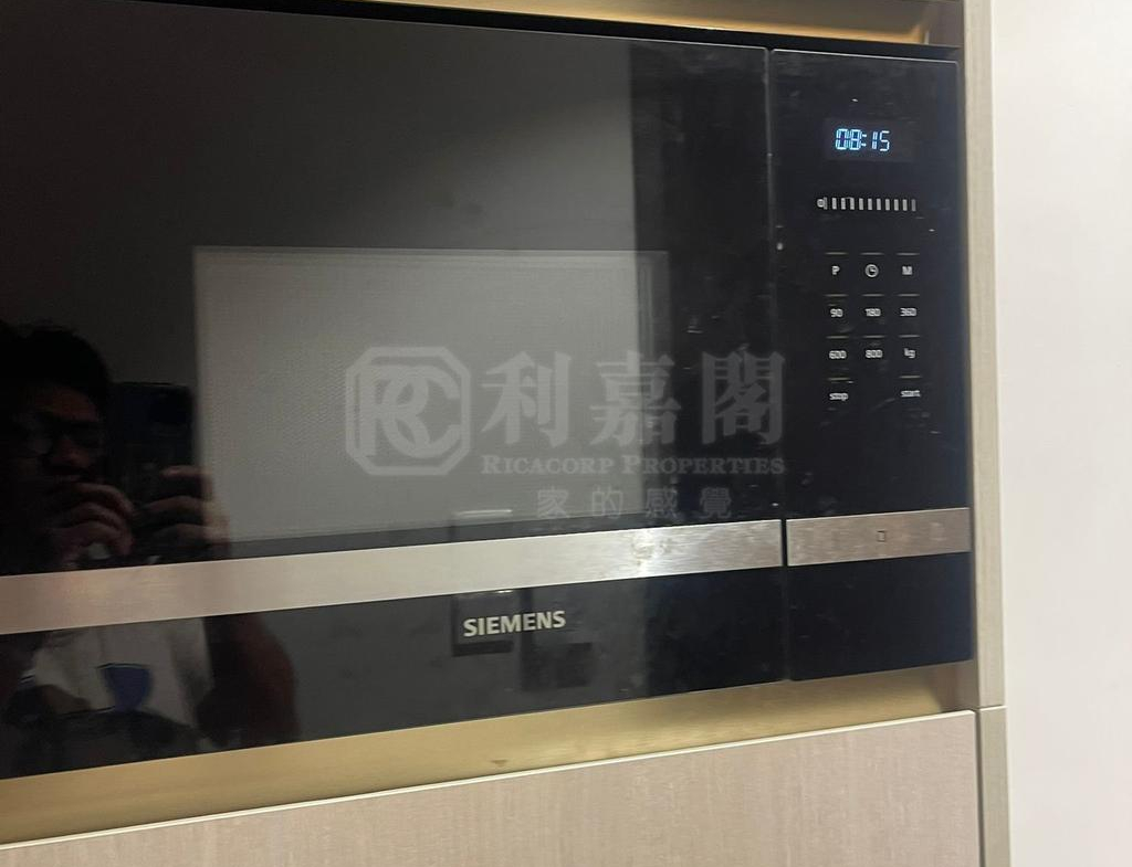 帝御 2期 帝御‧星濤 1座 - 28NTS – 香港北部都會區