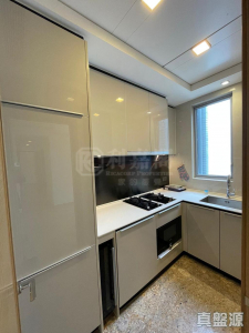 東環 1期 6A座 - 28NTS – 香港北部都會區