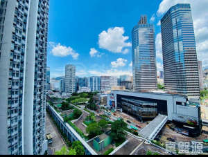 176345962263b3b5f4-6ab6-4844-bcc4-05d10075e0a3.jpeg 新葵芳花園 E座 - 28NTS – 香港北部都會區