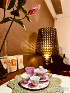 娉廷 - 28NTS – 香港北部都會區