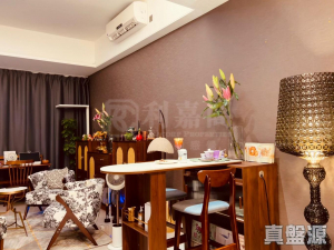 娉廷 - 28NTS – 香港北部都會區