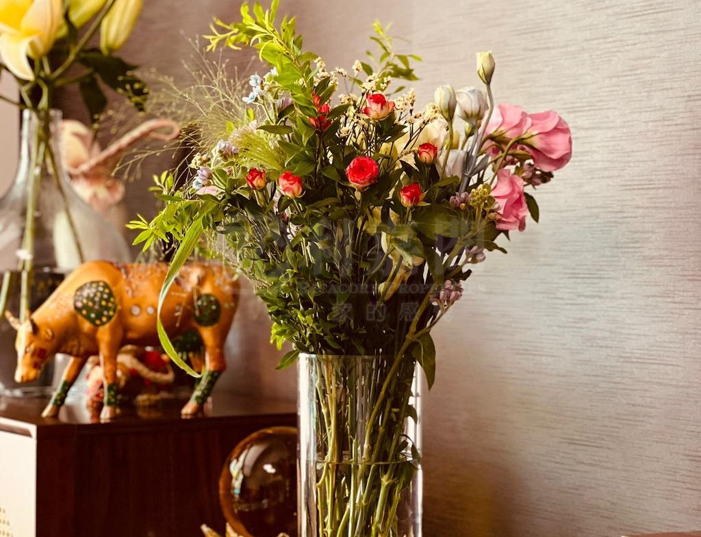 娉廷 - 28NTS – 香港北部都會區