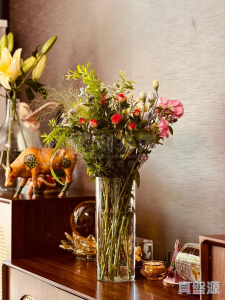 娉廷 - 28NTS – 香港北部都會區