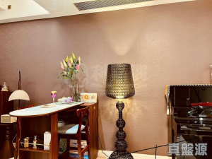 娉廷 - 28NTS – 香港北部都會區