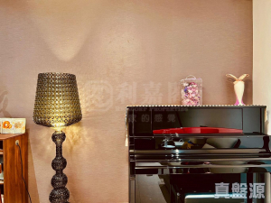 娉廷 - 28NTS – 香港北部都會區