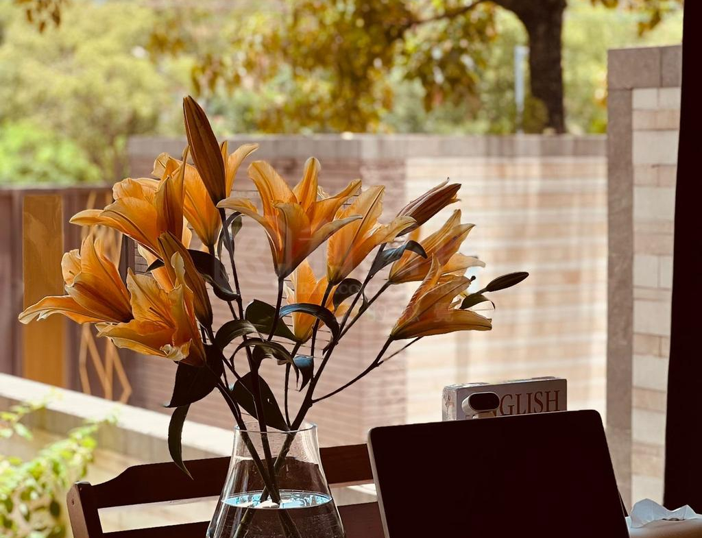 娉廷 - 28NTS – 香港北部都會區