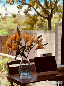 娉廷 - 28NTS – 香港北部都會區