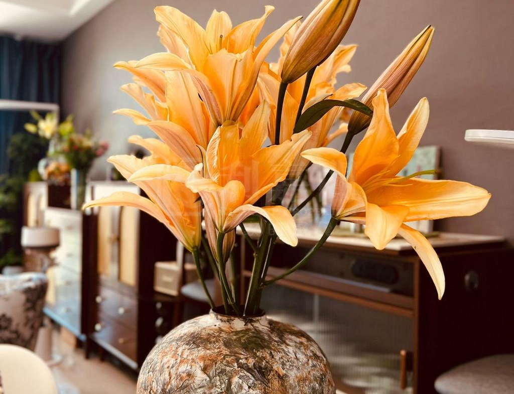 娉廷 - 28NTS – 香港北部都會區