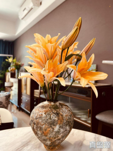 娉廷 - 28NTS – 香港北部都會區