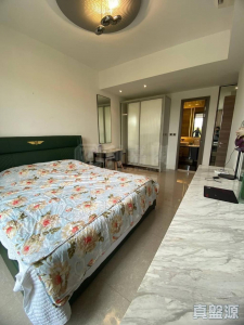 娉廷 - 28NTS – 香港北部都會區