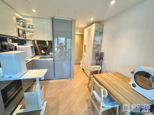 御半山 1期 1A座 - 28NTS – 香港北部都會區