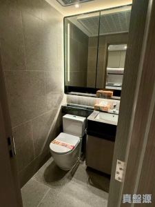 NOVO LAND 3A期 Dragor 2座 - 28NTS – 香港北部都會區