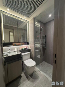 NOVO LAND 3A期 Dragor 2座 - 28NTS – 香港北部都會區