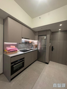 NOVO LAND 3A期 Dragor 2座 - 28NTS – 香港北部都會區