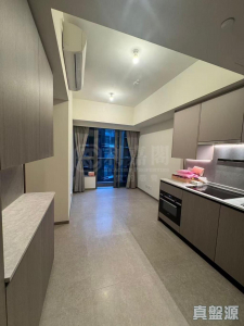 NOVO LAND 3A期 Dragor 2座 - 28NTS – 香港北部都會區