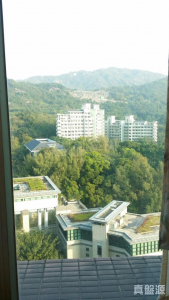 疊茵庭 2座 - 28NTS – 香港北部都會區