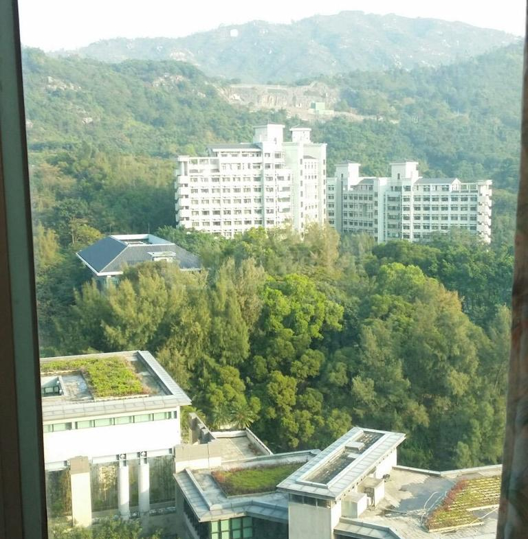 疊茵庭 2座 - 28NTS – 香港北部都會區