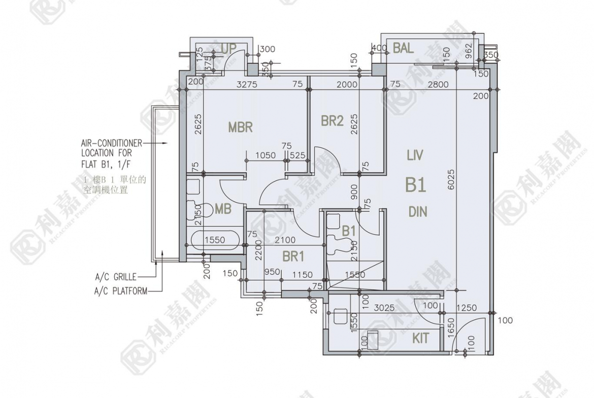 柏巒 2期 柏逸 1座 - 28NTS – 香港北部都會區