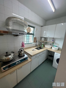 浪翠園 1期 4座 - 28NTS – 香港北部都會區