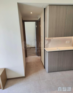 1763463374e532793b-a681-42c5-a949-9987f6912028.jpeg NOVO LAND 2B期 Arreso 1B座 - 28NTS – 香港北部都會區