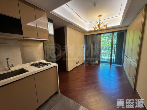 緹岸 1期 1座 - 28NTS – 香港北部都會區