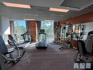 壹號九龍山頂 1期 1座 - 28NTS – 香港北部都會區