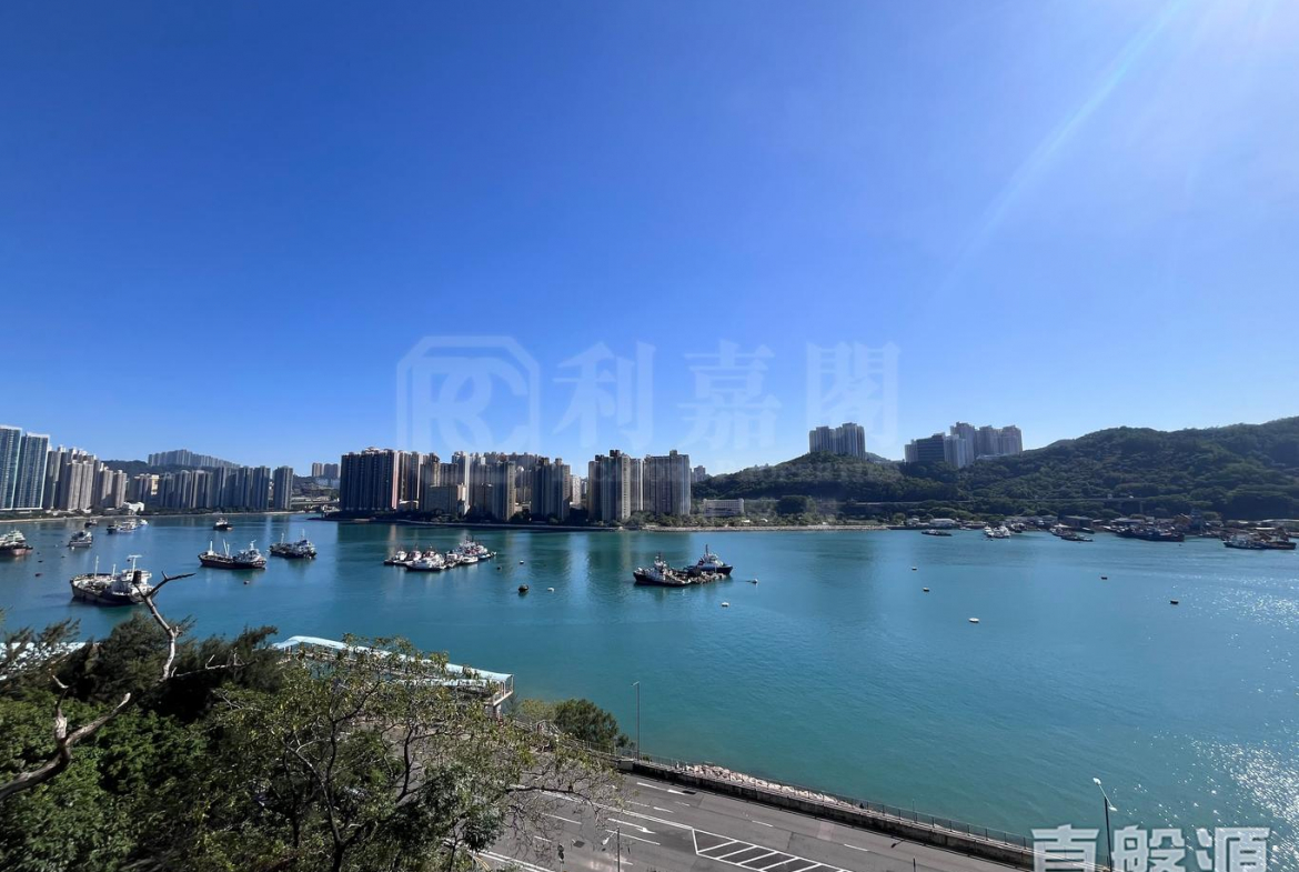 壹號九龍山頂 1期 1座 - 28NTS – 香港北部都會區