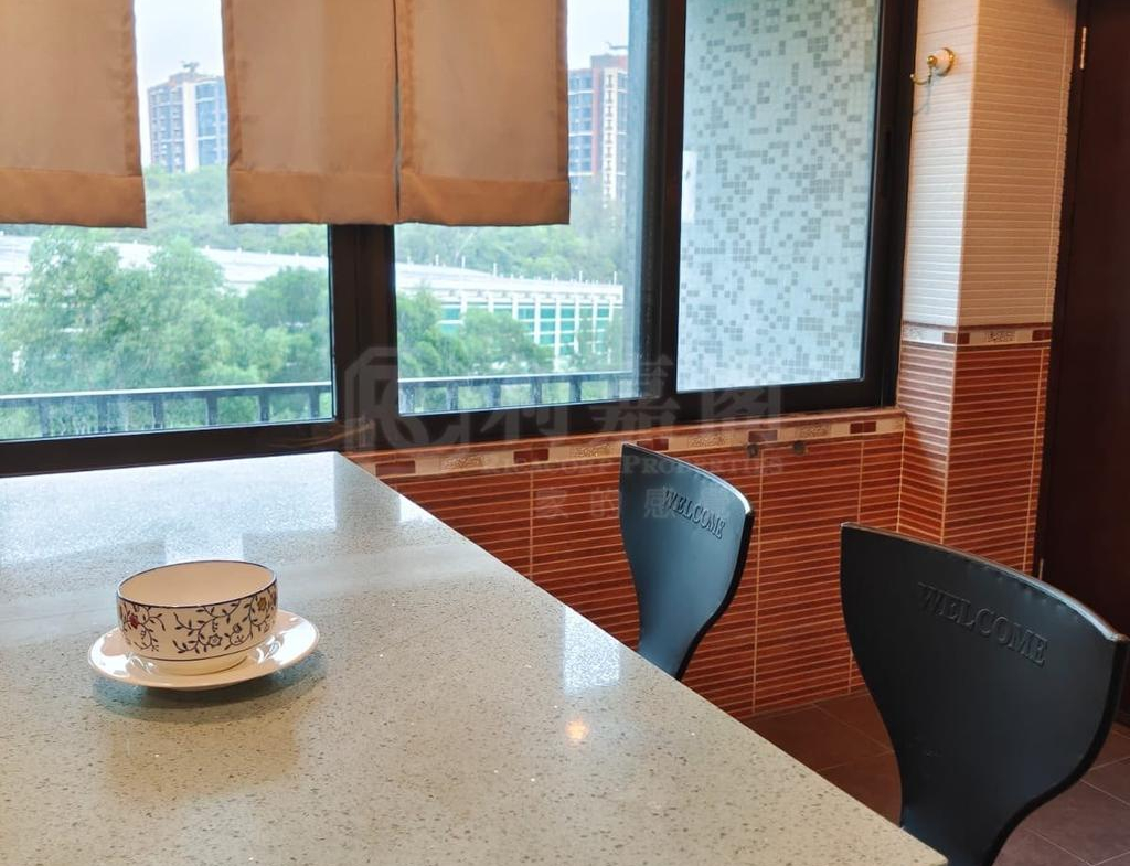 屯門閣 - 28NTS – 香港北部都會區