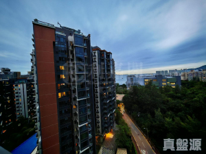 1763464296ce6b9793-a415-40af-8b01-6326fe5ffe89.jpeg 滿名山 滿庭 5座 - 28NTS – 香港北部都會區