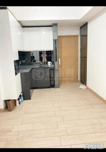 東環 1期 3B座 - 28NTS – 香港北部都會區