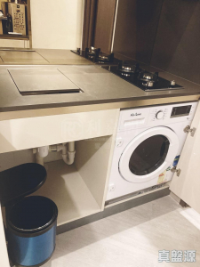 帝御 3期 帝御‧嵐天 6座 - 28NTS – 香港北部都會區