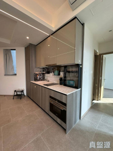 THE YOHO HUB C期 THE YOHO HUB II 8座 - 28NTS – 香港北部都會區