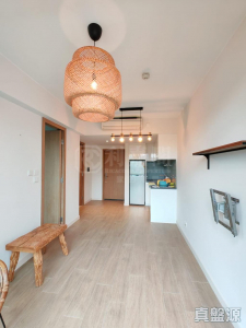 南屏匯 1座 - 28NTS – 香港北部都會區