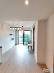 南屏匯 1座 - 28NTS – 香港北部都會區