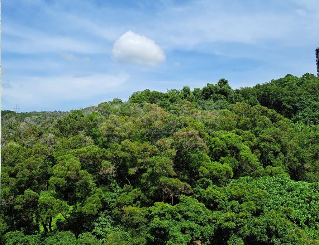 彩暉花園 A座 - 28NTS – 香港北部都會區